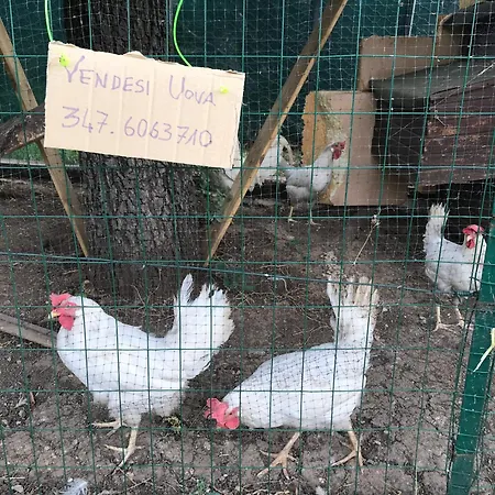 Tatil Evi Casale Monte Del Gatto